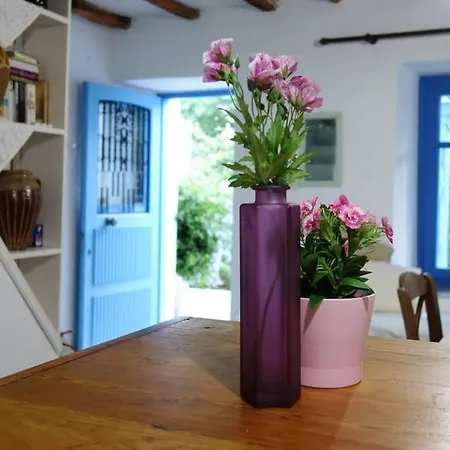 Chariklia Traditional House * Alónnisos